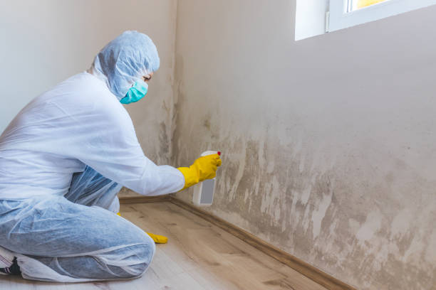 Licensed Crawl Space Mold Removal service in Dover, PA - WQB Mold Removal