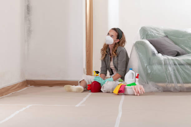 Reliable Crawl Space Mold Removal contractor in Dover, PA by WQB Mold Removal